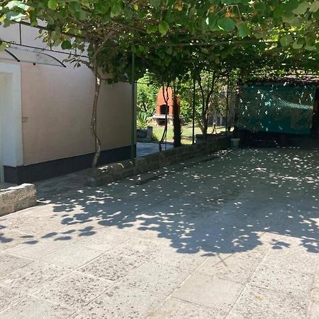 Apartma Mari Apartment Lucija Exterior photo