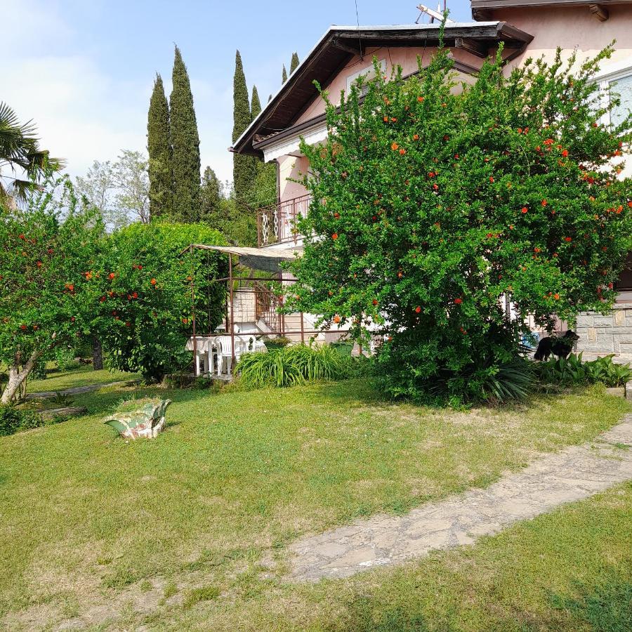 Apartma Mari Apartment Lucija Exterior photo